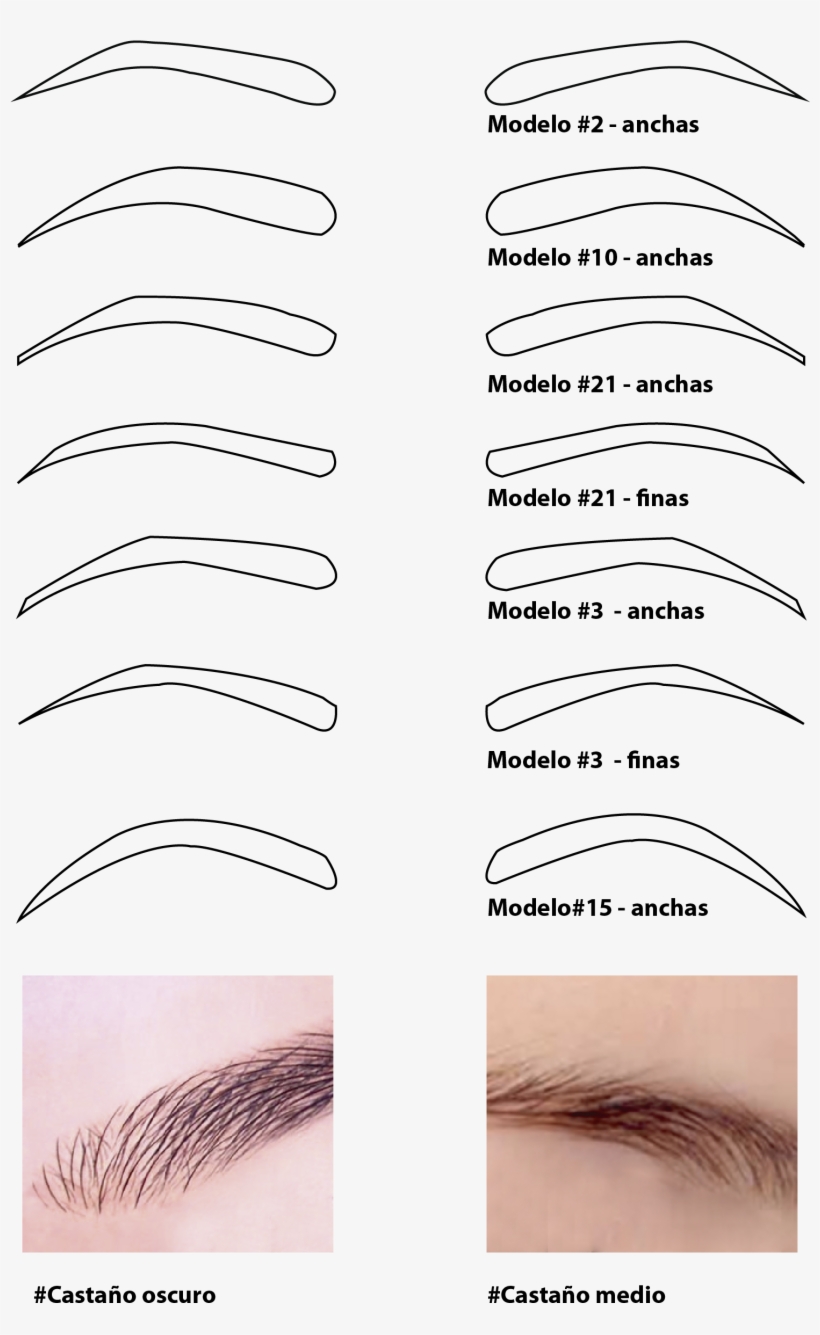 Productos Relacionados Tooltip - Imagenes Modelos De Cejas, transparent png download
