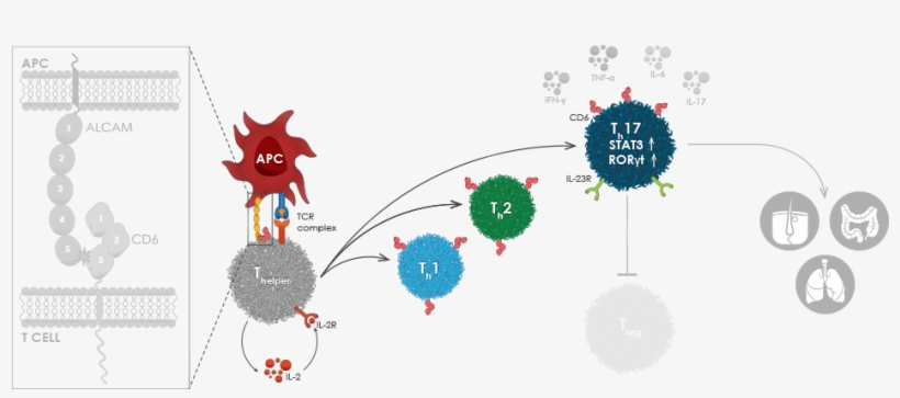 Tabs A Panel 2 V2 - Logo, transparent png download