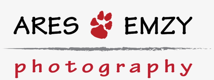 Final Paw Logo All Caps, transparent png download