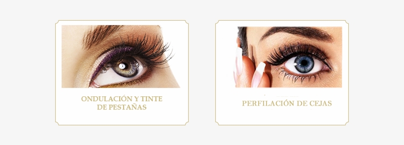 M.a.c Zoom Lash Black Smudge Proof Long Wearing Mascara, transparent png download