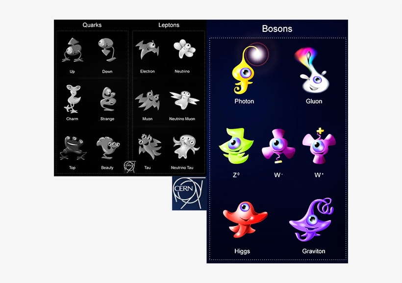 Partículas Elementales De Materia - Standard Model Particle Zoo, transparent png download