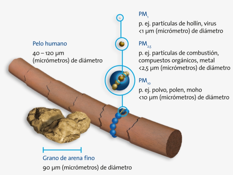 De Tamaños De Partículas - Infographic, transparent png download