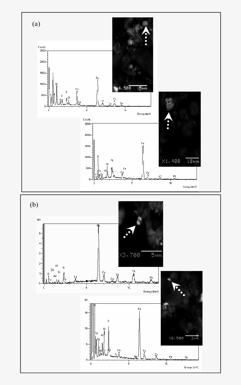 Figura 4 Microfotografías Y Análisis Químico Puntual - Diagram, transparent png download