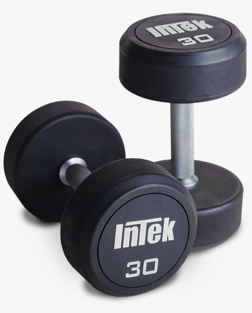 Plate Clipart Weight Lifting - Rubber Dumbbell, transparent png download