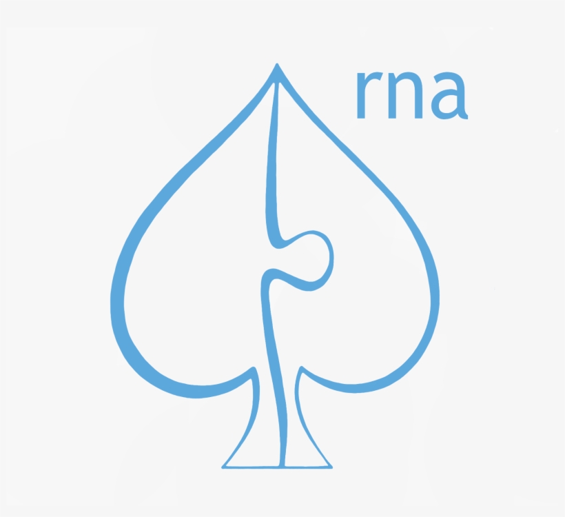 Rnaspades - Spades, transparent png download