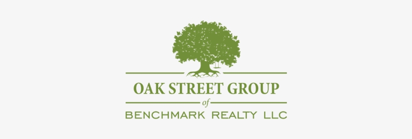 Price Reduced Amazing Riverfront Condo Opportunity - Tree, transparent png download