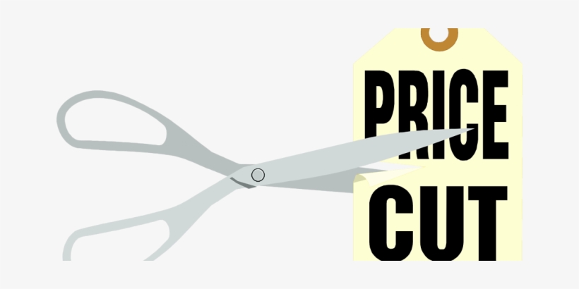 Hungary's Socialist Party Insists On Gas, Electricity - Initiating And Responding To Price Changes Ppt, transparent png download