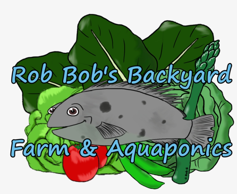 Card Png - Bit, transparent png download