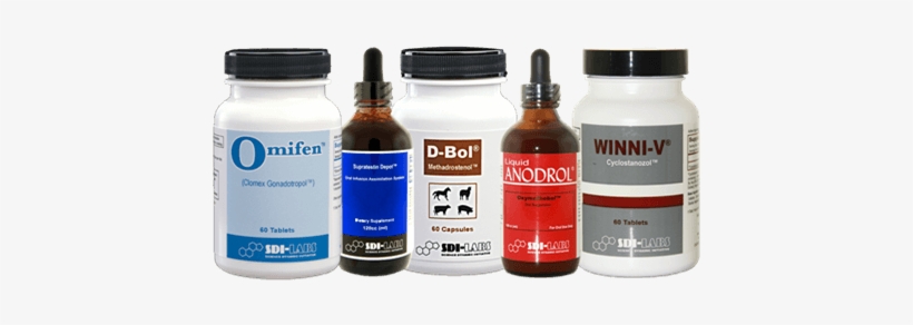 14 Week Intrinsic Form Mass Cycle - D Bol, transparent png download