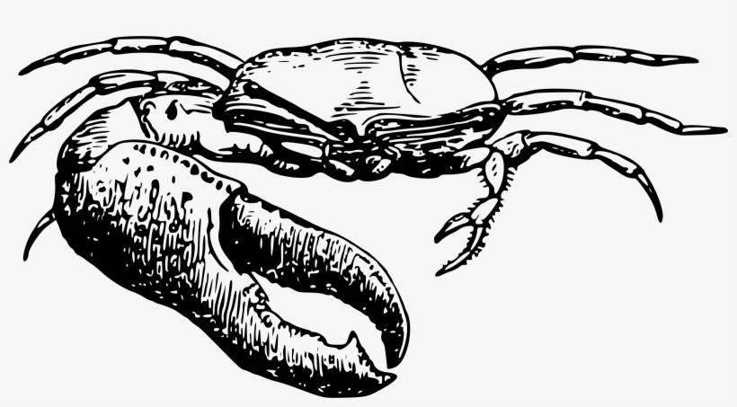 This Free Icons Png Design Of Fiddler Crab 2, transparent png download