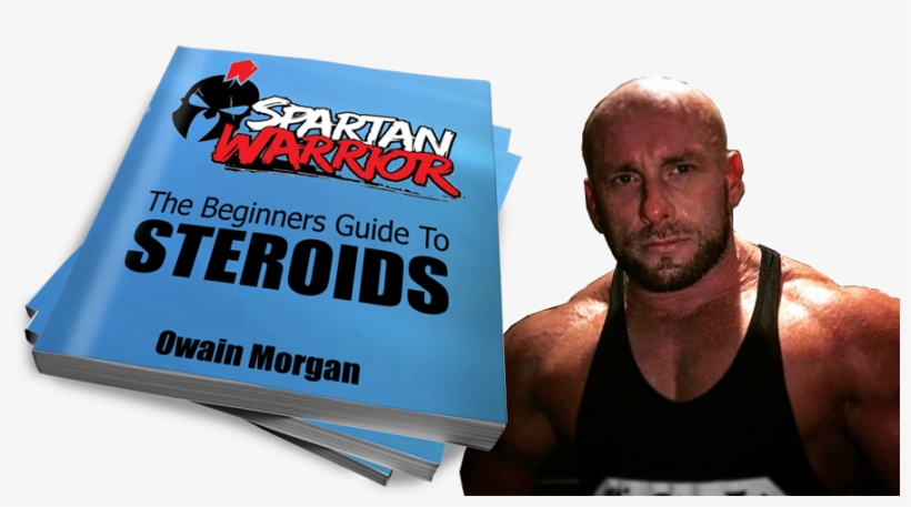 Where Shall I Send Your Download Dude - Steroid, transparent png download