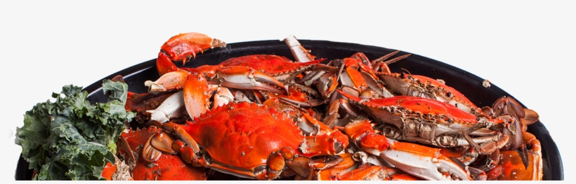 View Our Menus, transparent png download