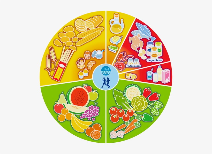 Cerebro 7 - Wikipedia Doesn't Want You To Know About Macrobiotics:, transparent png download