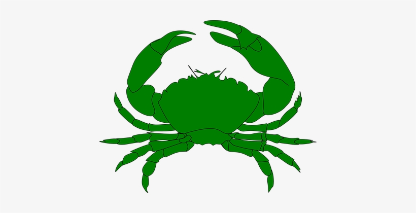 Crab Sea Food Shellfish Marine Water Beach - Crab Clip Art, transparent png download