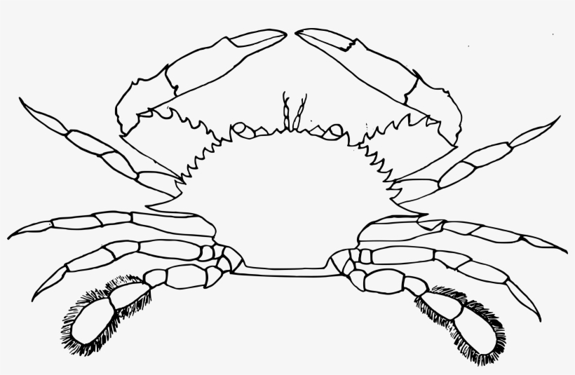 Big Image - Clip Art Of Crab, transparent png download