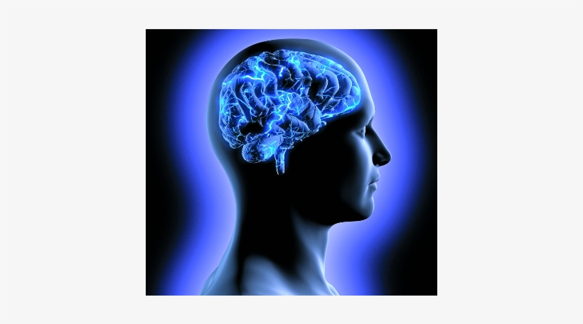 Los Nuevos Dispositivos Pueden Ser Usados Para Escanear - Brain Supplements: Everything You Need To Know Ntal, transparent png download