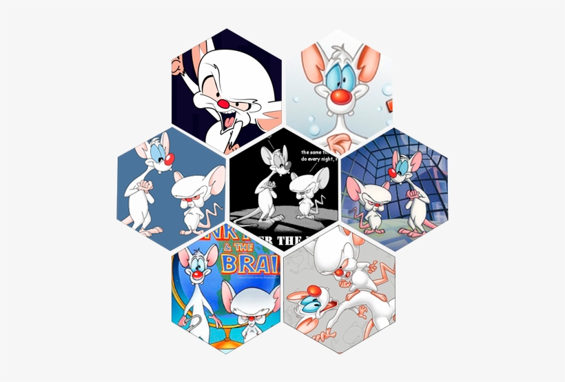 Warner Bros. Pinky And The Brain: Volume 1, transparent png download