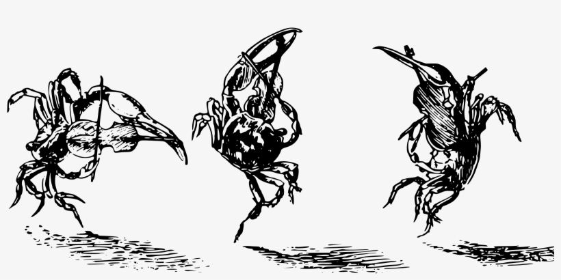 This Free Icons Png Design Of Fiddler Crabs, transparent png download