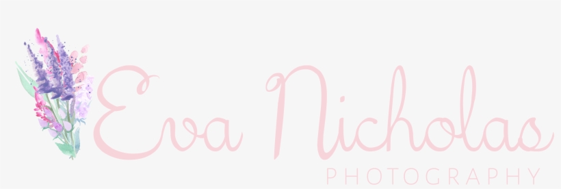Eva Nicholas Photography - Photography, transparent png download