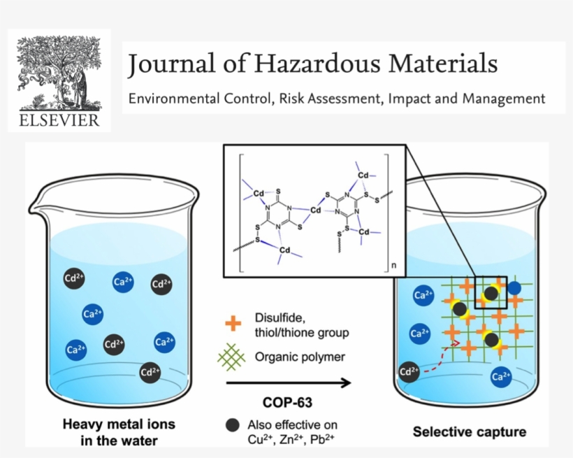 Heavy Metal Contaminated Surface Water Is One Of The - Diagram, transparent png download