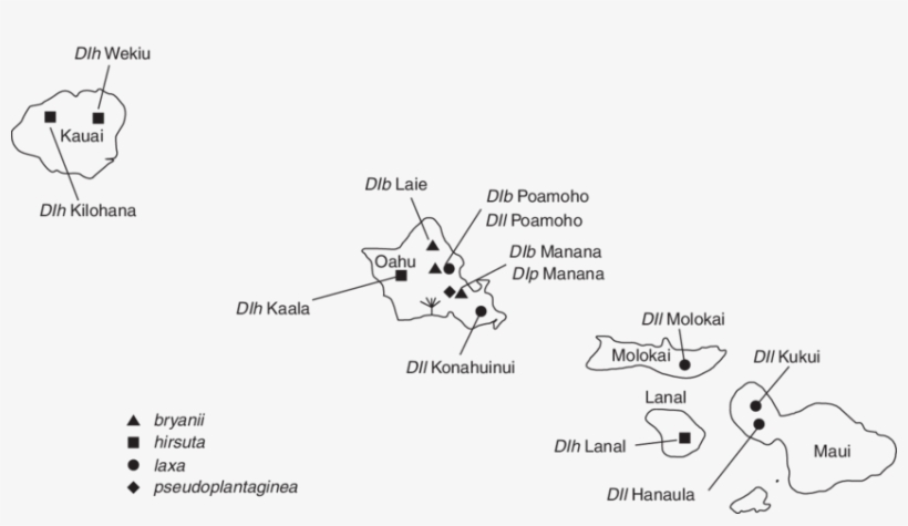 Map Of Sampled Populations Of Dubautia Laxa From The - Hawaii, transparent png download