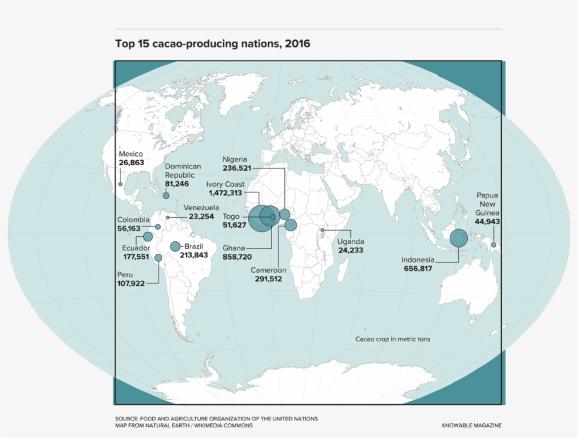 Cacao Grows In A Narrow Band Straddling The Equator - Ghana, transparent png download