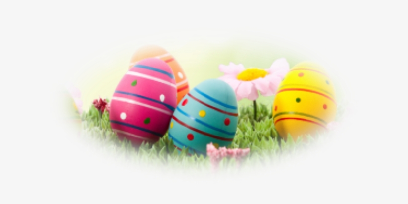 2018 Easter Egg Hunt - We Are Eggspecting Easter Maternity Tee - Funny Easter, transparent png download