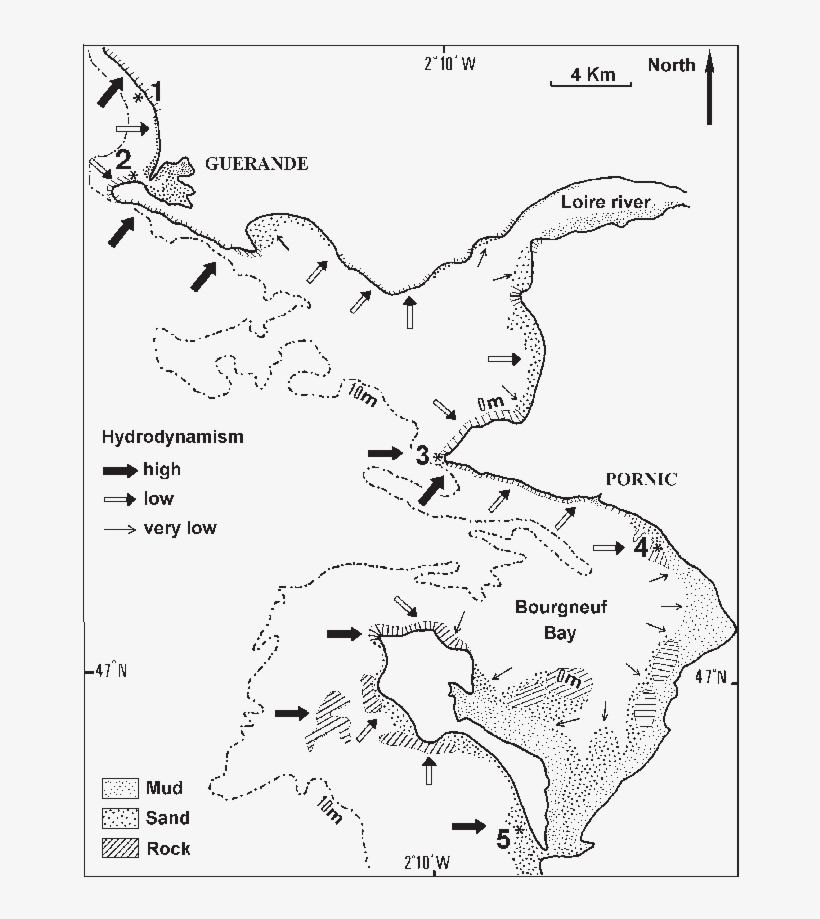 Map Of Sampling Sites On The South Coast Of Brittany - France, transparent png download