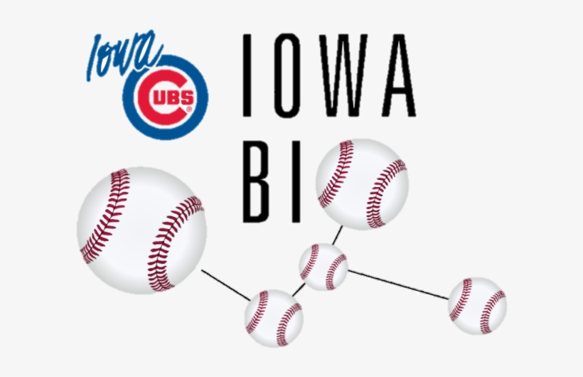 Iowa Cubs Outing Sponsorship - Cafepress Design King Duvet, transparent png download