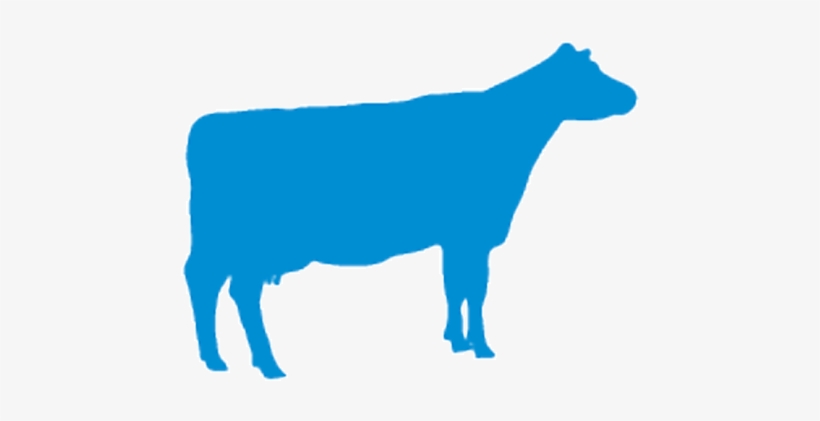 Cow-logo - Milk Cow Logo Png, transparent png download