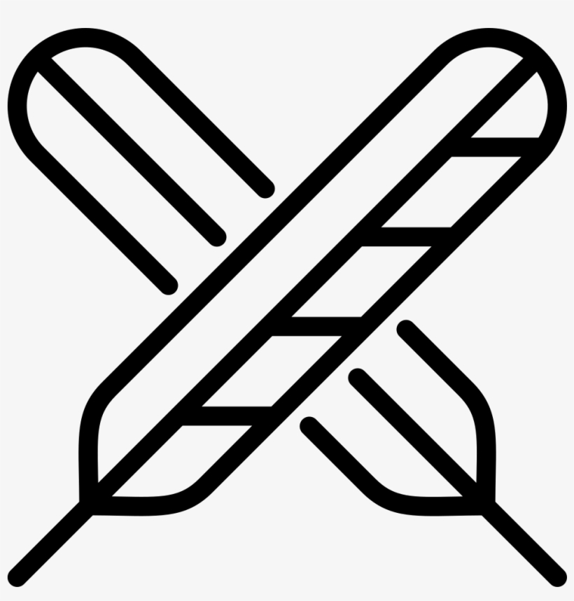 Feathers Comments, transparent png download