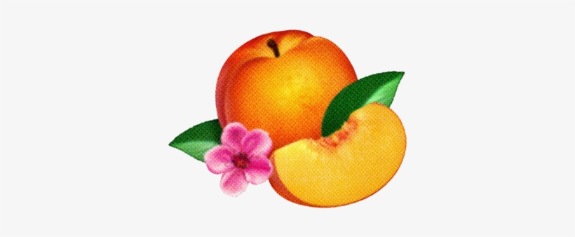 6353361 - Phoenix Bankrupt, transparent png download