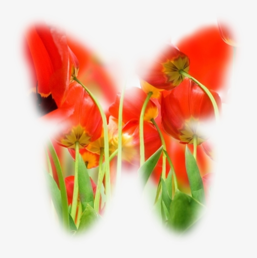 8 Trim Images - Schöner Planet 33 Karte, transparent png download