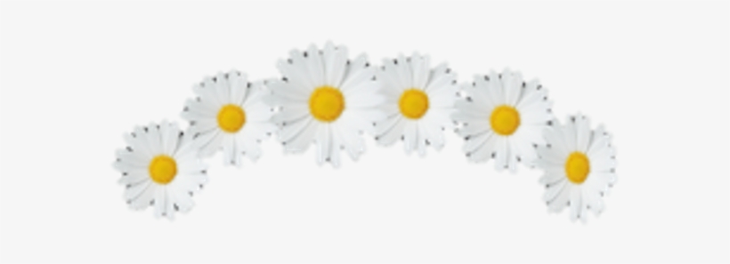 Tumblr Sticker By Daniela - Illustration, transparent png download