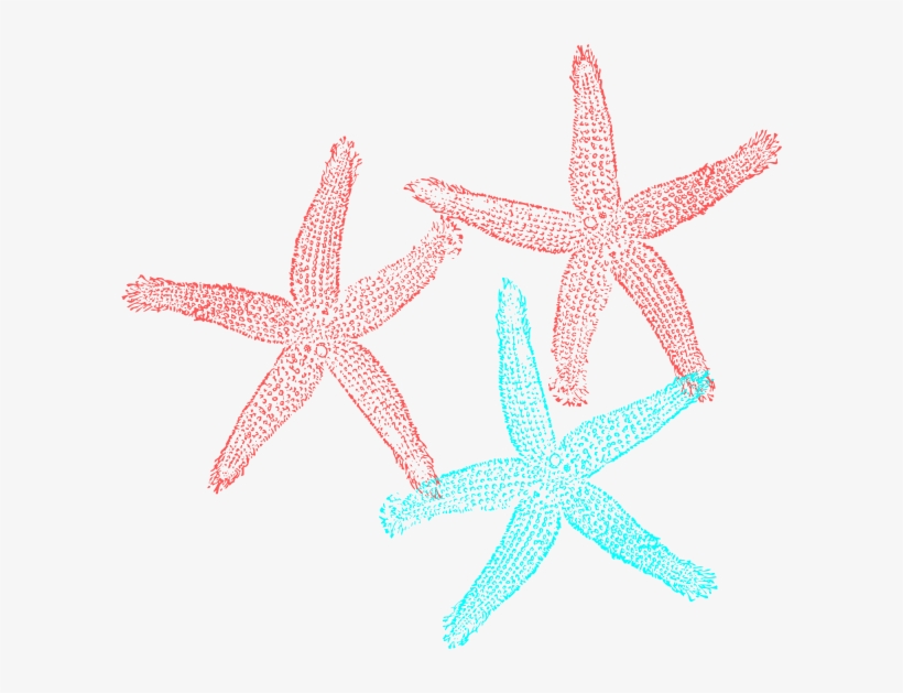 Starfish Clipart Aqua - Starfish Turquoise And Coral, transparent png download