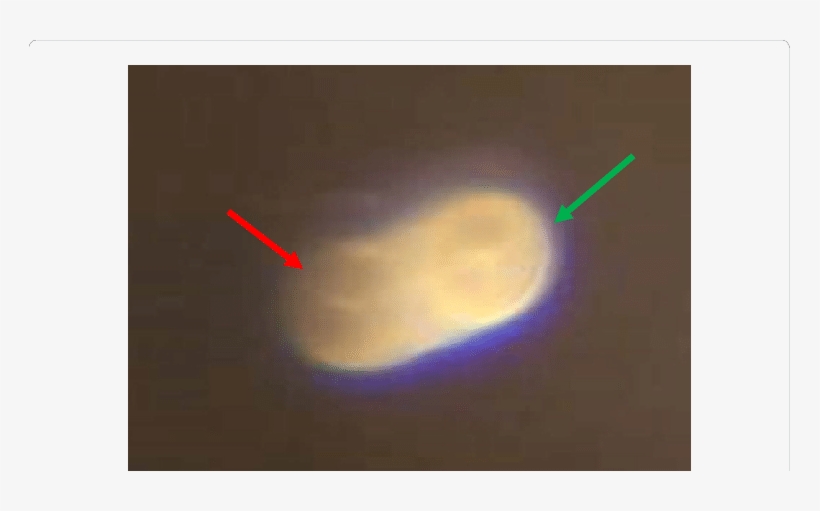 Rising Bubble Mediated Cationic Motion And Anionic - Meteoroid, transparent png download