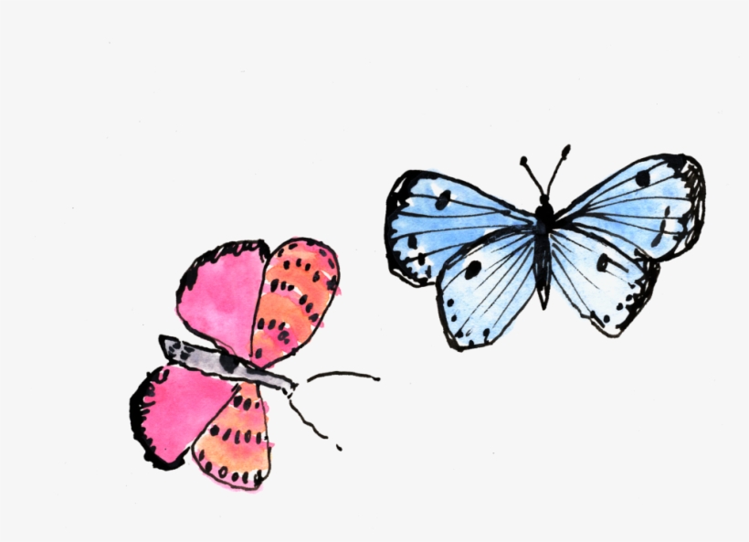 Butterflies - Anthocharis Cardamines, transparent png download