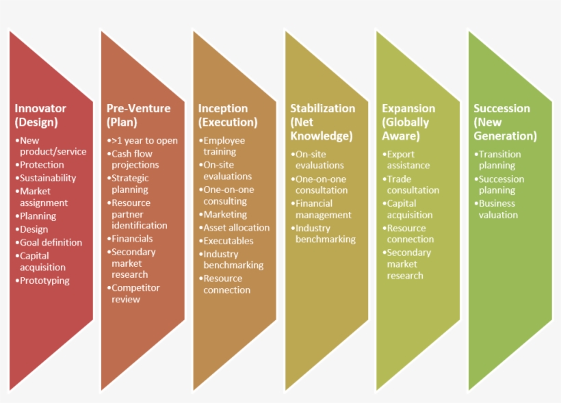 Chart From Innovator To Succession Business Life Stages - Grow My Business, transparent png download