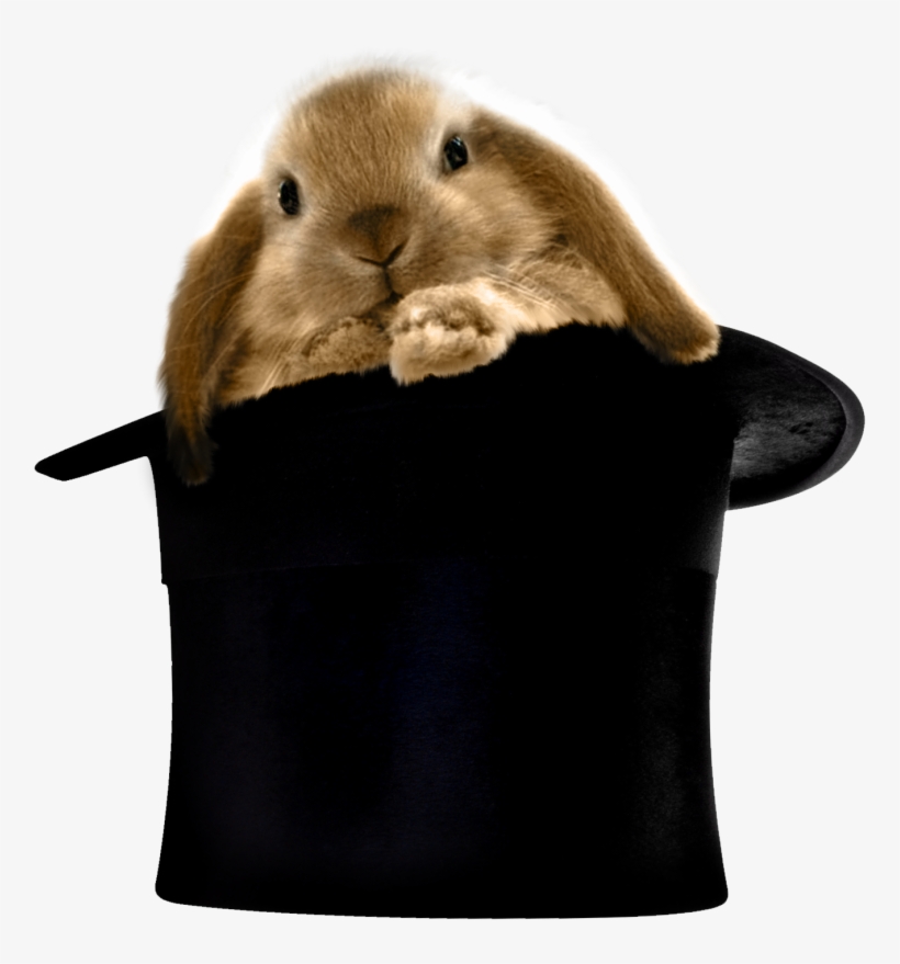 Baby Touch And Feel Easter Bunny, transparent png download