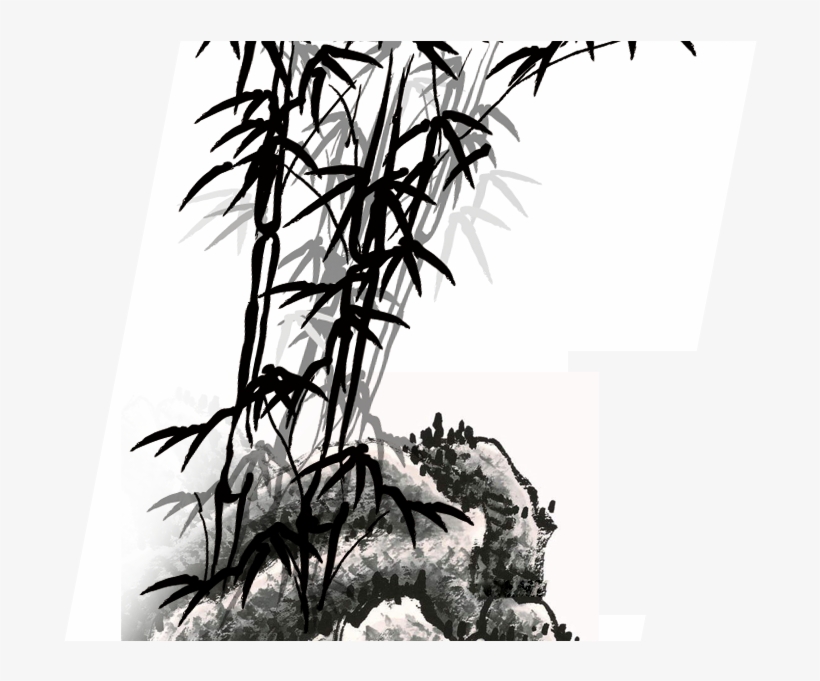 Bamboo Drawing Download - Bamboo 1 Full/queen Duvet Cover, transparent png download