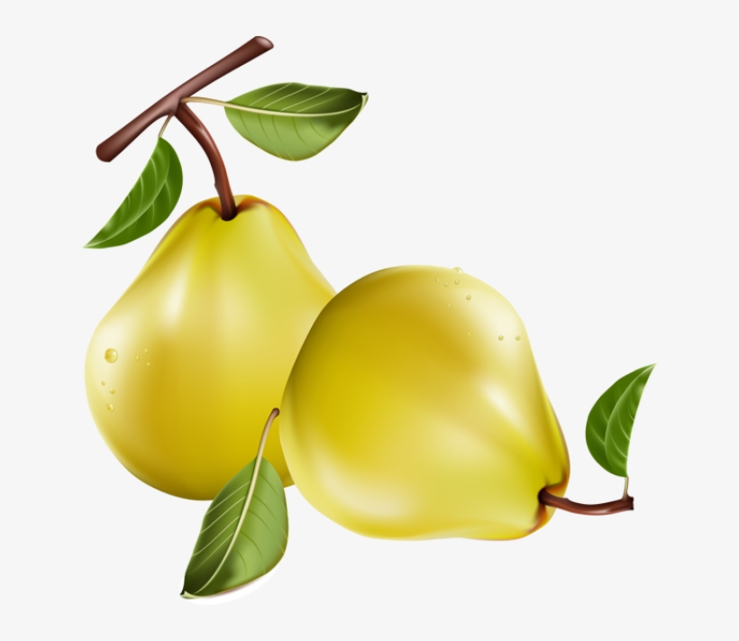 Fruit - Pears Clipart Free, transparent png download