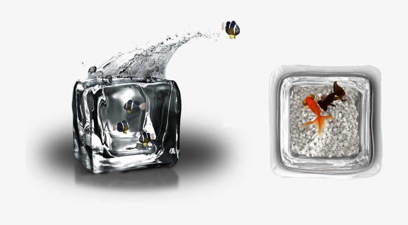 Ice Cube Tank Design By Arthur Xin - Diamond, transparent png download