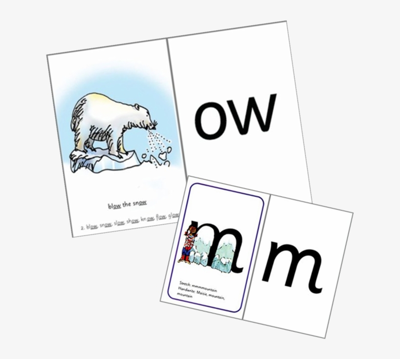 Polar Bear - Read Write Inc. Set 2 3 Speed Sound Cards Pack Of 10, transparent png download