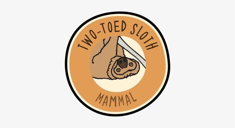 Visit The Zoo And Collect This Animal's Badge In Our, transparent png download
