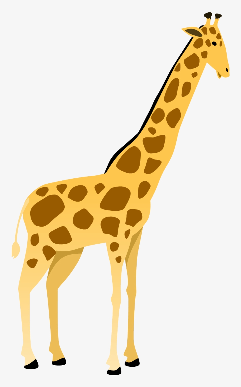 Giraffe, transparent png download