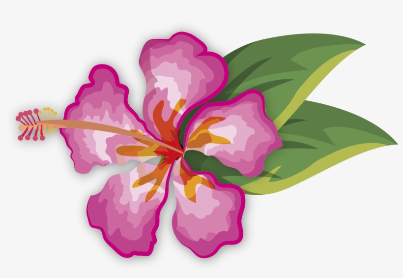 Hibiscus, transparent png download