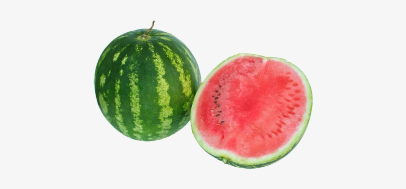 Watermelon - Livro - Tropical Impact On Your English 7, transparent png download