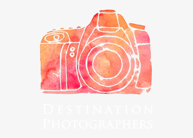 Circle, transparent png download