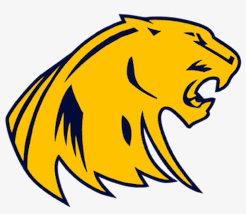 South Lyon Panthers Youth Football - South Lyon Silver Panthers, transparent png download