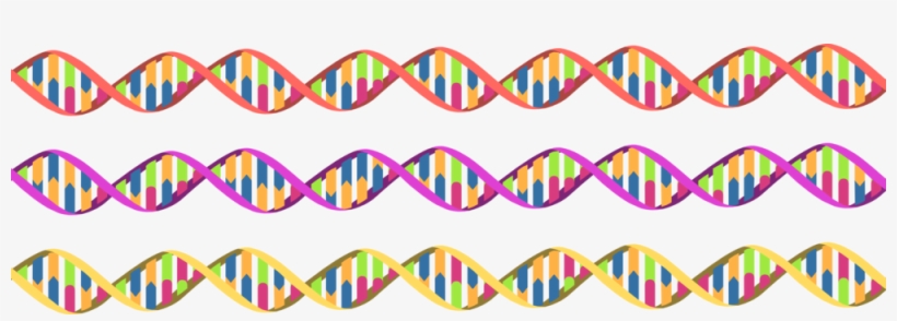 Helix Dna Library - Dna, transparent png download